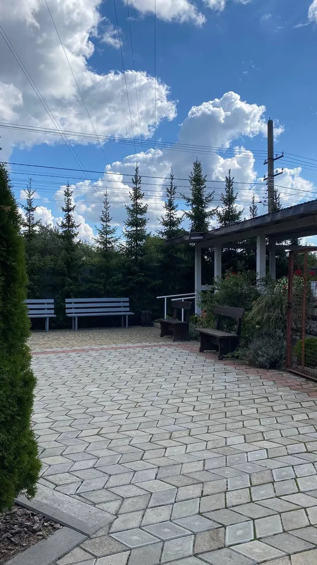 Високі хвойні дерева обрамляють відкритий майданчик біля дому.