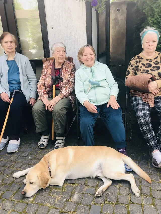 Поруч із мешканцями на подвір’ї влаштувався й наш чотирилапий компаньйон.
