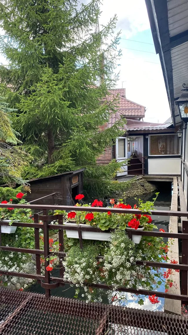 Зелень і квіткові кашпо супроводжують прогулянку біля веранди.